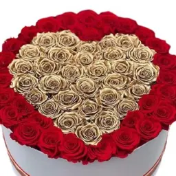 My Heart Is Golden Box